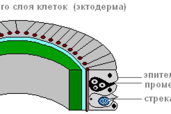 Кракен прямая ссылка