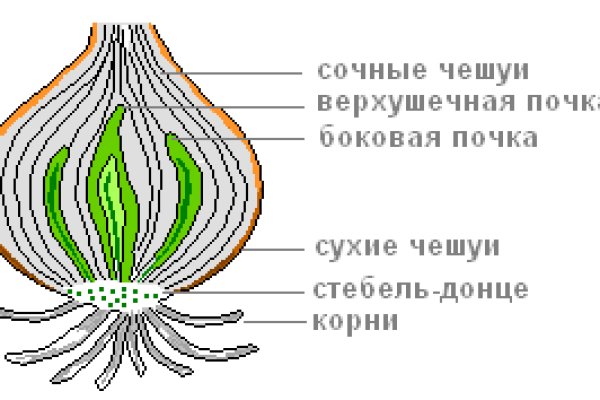 Кракен рабочее на сегодня сайт